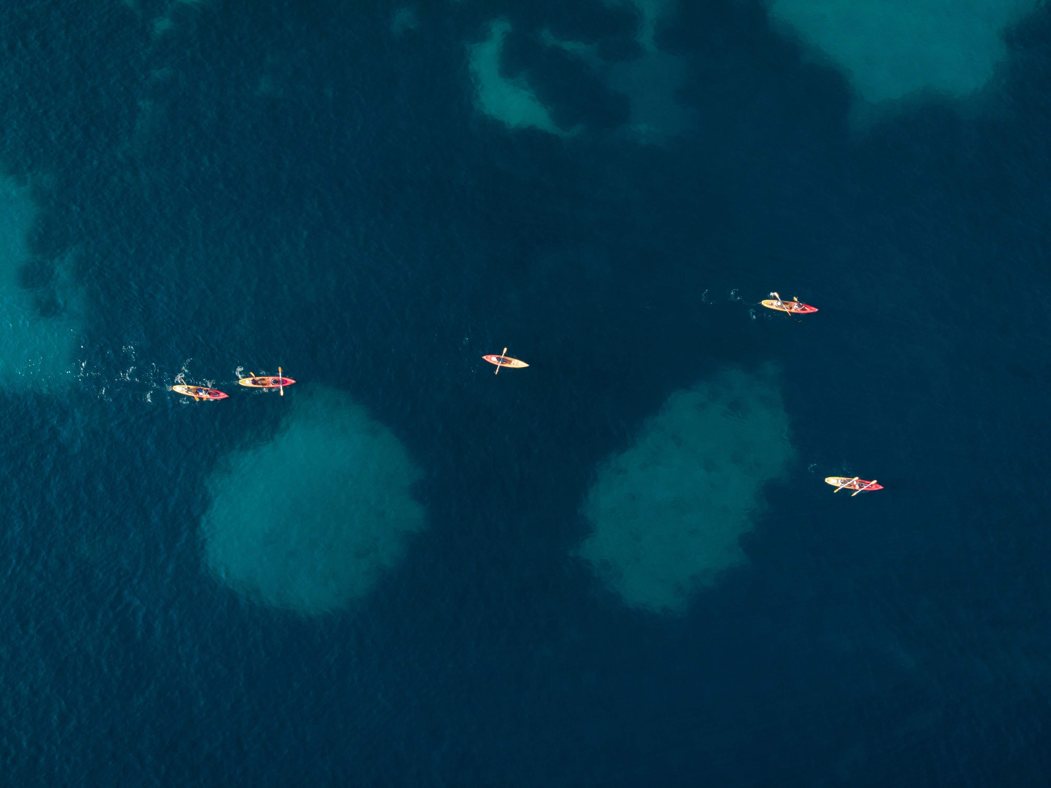 aerial view of people riding on boat on sea during daytime